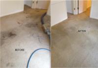 Carpet Cleaning Caulfield image 2